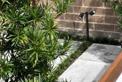 Landscaping Vaucluse Services | Stunning Garden Designs