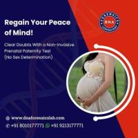 Choose Us for Non Invasive Prenatal Paternity Test for High-Quality Results in India