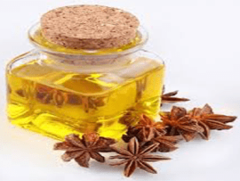 Anise oil benefits