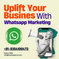 Whatsapp Marketing Services in Delhi NCR | 9354100473