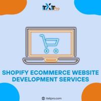 Shopify Ecommerce Website Development Services - ITXITPro LLC