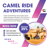 Dubai City Tour - BBQ Dinner With Desert Safari Dubai Adventures / +971 55 553 8395