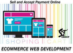 Ecommerce Website Development