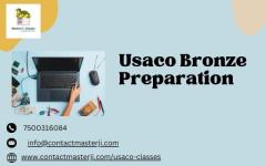 USACO Bronze Preparation with Expert Guidance