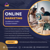 Digital Marketing Agency in Myakka City, Florida