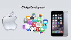 Best iOS Mobile Application Development Company | IT Services India