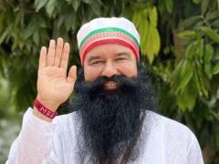 Dera Sacha Sauda: Tree Plantation NGO Transforming Landscapes