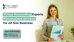 Virtual Accounting Experts: Personalized Services for All Size Business