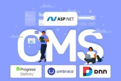 Top .NET-Based CMS Platforms: Best Choices for 2024