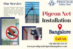 Secure Your Balcony with the Best Pigeon Safety Nets in Bangalore!