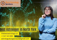 Signs You’ve Found the Best Astrologer in North York