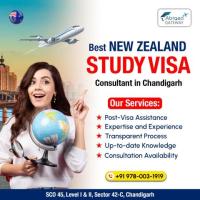 Top Reasons to Hire New Zealand Visa Consultants in Chandigarh