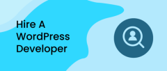 Hire WordPress Developer : Build Robust Web Solutions