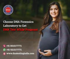 Non-Invasive Prenatal Paternity Test: Safe for Fetus and Mother