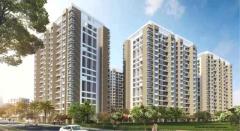 Exploring Real Estate in Maan, Pune: Rates and Available Properties