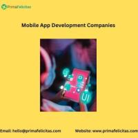 Choosing the best mobile app development services to retain quality.