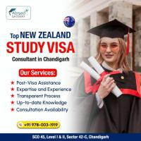 The Importance of Professional Help for New Zealand Visa Applications