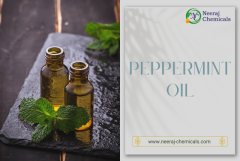 Peppermint Oil Suppliers in India