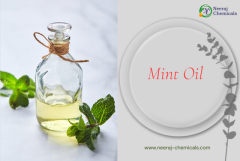 Mint Oil Suppliers in India