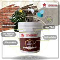 Star Smart Paint - Anti Fade UV Resistant