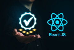 ReactJs Developers