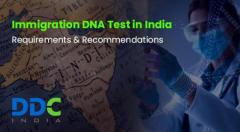 How Accurate and Reliable is DNA Test for New Zealand Immigration?