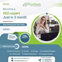 Professional Digital Marketing Course in Mohali | Zestgeek Technologies