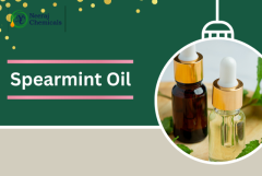 Spearmint Oil Suppliers in India