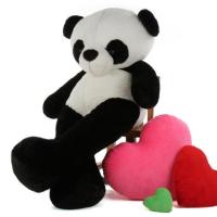 Cute Stuffed Panda Bears at Giant Teddy