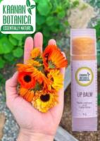 Seabuckthorn & Calendula Lip Balm - Best Organic Lip Balm