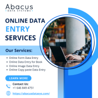 Abacus Data Systems offers accurate Online Data Entry Services