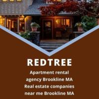 Get the Perfect Living Rentals Hiring an Apartment Rental Agency Brookline MA 