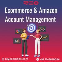  Boost Your Business with Expert eCommerce Virtual Assistants - Reyecomops