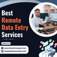 Top Remote Data Entry Services in India