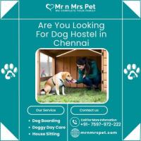 Best Dog Hostel in Chennai at Affordable Price