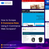 Scrape E-Commerce Data Services