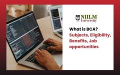 Unlock Your Future with BCA at NIILM University!