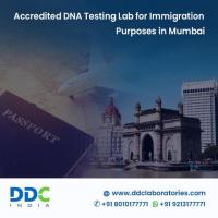 DNA Test in Mumbai — Simplify Your Immigration Process 