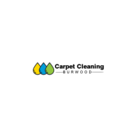 Transform Your Home with Carpet Cleaning Berwick | Expert Care for Stunning Results