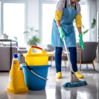 Experience Ultimate Hygiene with Exemplary Cleaning Services