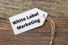 White Label Digital Marketing Services | Scale Your Business