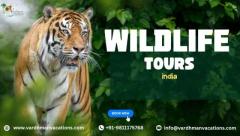 Discover the Beauty of Wildlife Tours India