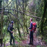 Rain Forest CUYABENO Lodges