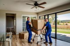 Stress-Free Moves: Trusted Removal Companies in London!