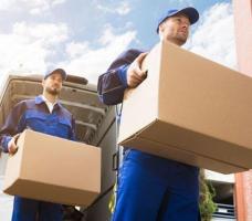 Obtain the Best Courier Service from Horsley Sameday