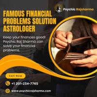 Famous Financial Problems Solution Astrologer in New Jersey 