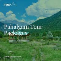 pahalgam tour packages