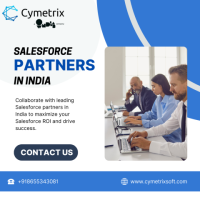 Salesforce Partners in India