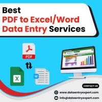 Top PDF to Word/Excel Data Entry Services in India