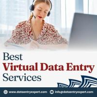 Top Virtual Assistant Data Entry Services in India